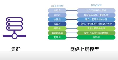 服务器挂号推荐，策略与案例分析