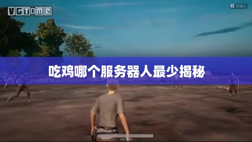 吃鸡哪个服务器人最少揭秘