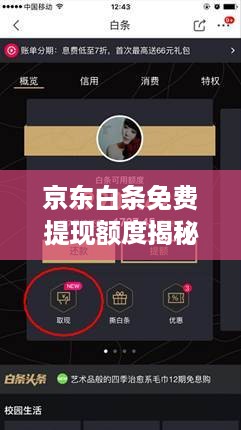 京东白条免费提现额度揭秘