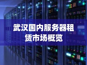 武汉国内服务器租赁市场概览