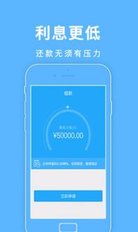 两个手机白条套出来攻略