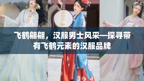 飞鹤翩翩，汉服男士风采—探寻带有飞鹤元素的汉服品牌