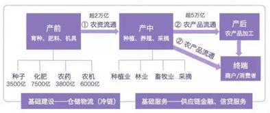 扬中网站服务器租赁服务全面解析