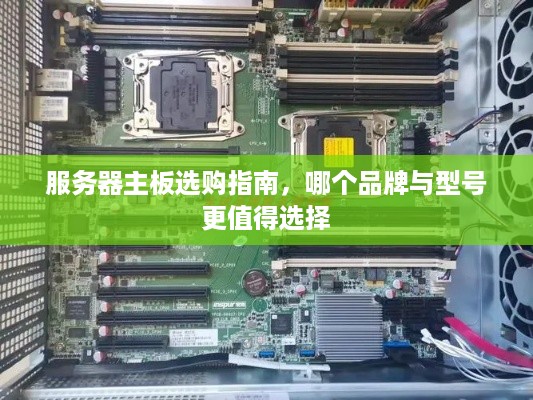 服务器主板选购指南，哪个品牌与型号更值得选择