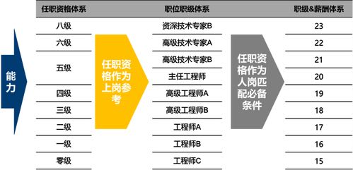 网易哪个服务器可以练习游戏？深度体验与案例分析