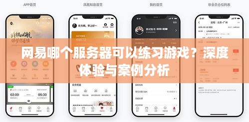 网易哪个服务器可以练习游戏？深度体验与案例分析