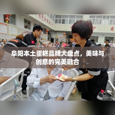 阜阳本土蛋糕品牌大盘点，美味与创意的完美融合
