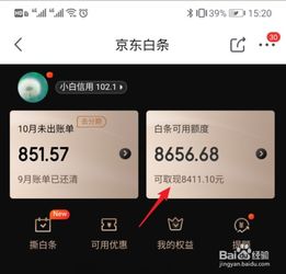 京东白条分7次提现攻略