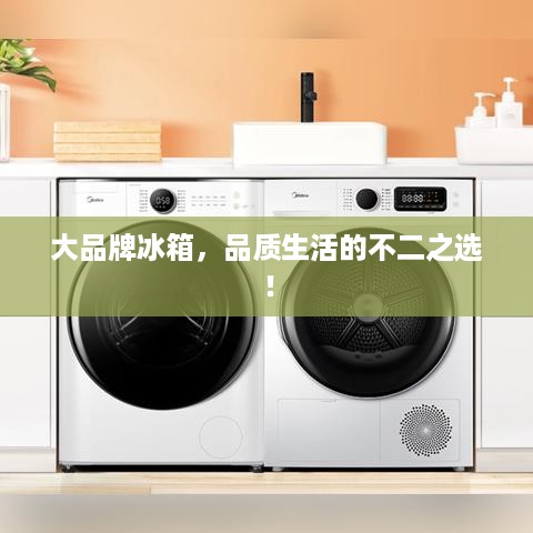 大品牌冰箱，品质生活的不二之选！