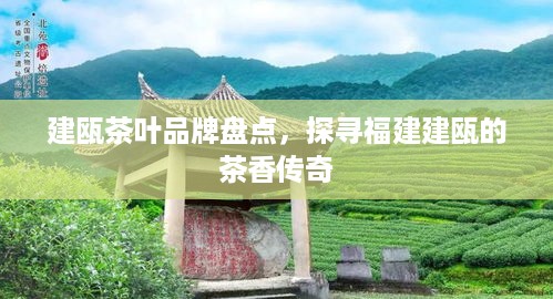 建瓯茶叶品牌盘点，探寻福建建瓯的茶香传奇