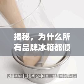 揭秘，为什么所有品牌冰箱都倾斜？