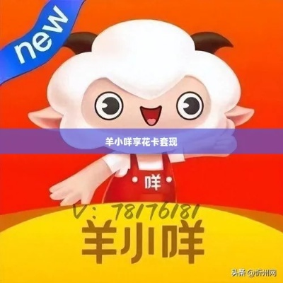 羊小咩享花卡购物攻略，如何巧妙套取优惠