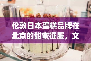伦敦日本蛋糕品牌在北京的甜蜜征服，文化融合下的糕点传奇