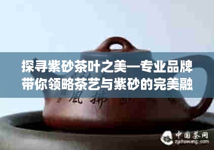 探寻紫砂茶叶之美—专业品牌带你领略茶艺与紫砂的完美融合