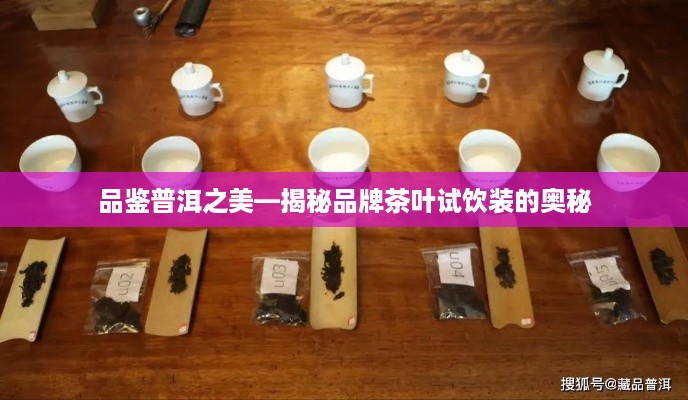 品鉴普洱之美—揭秘品牌茶叶试饮装的奥秘