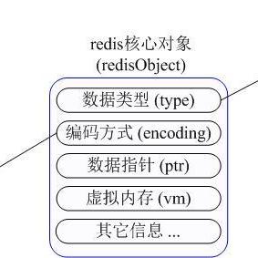 电脑品牌内存大比拼，优缺点全解析
