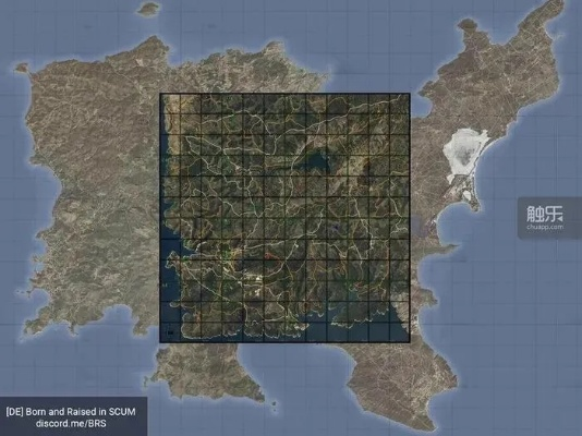 揭秘Dayz服务器人气高区域，玩家聚集度与案例分析