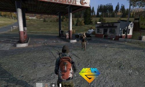 揭秘Dayz服务器人气高区域，玩家聚集度与案例分析