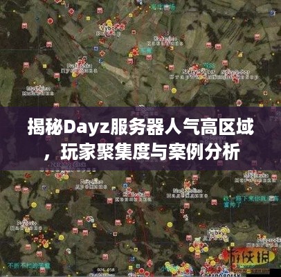 揭秘Dayz服务器人气高区域，玩家聚集度与案例分析