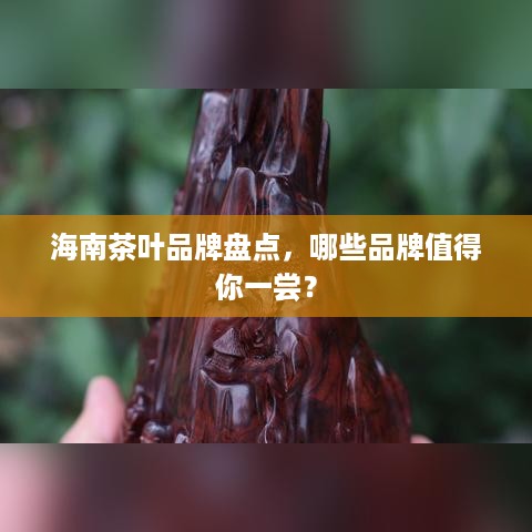海南茶叶品牌盘点，哪些品牌值得你一尝？