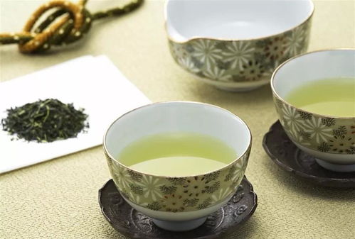 荷兰茶叶品牌大盘点，品味荷兰风情的茶香之旅