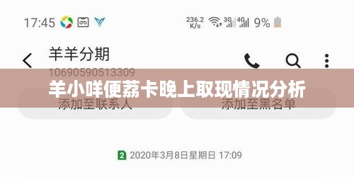 羊小咩便荔卡晚上取现情况分析