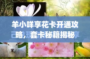 羊小咩享花卡开通攻略，套卡秘籍揭秘