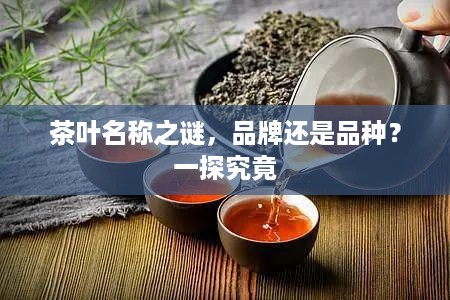 茶叶名称之谜，品牌还是品种？一探究竟