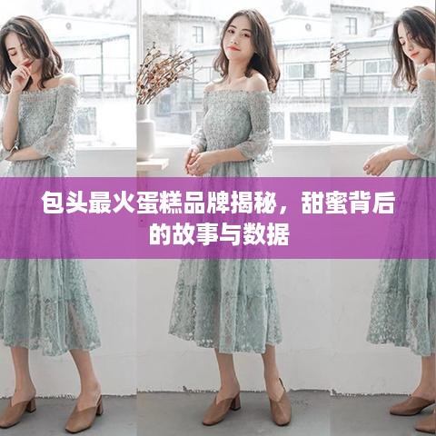 包头最火蛋糕品牌揭秘，甜蜜背后的故事与数据