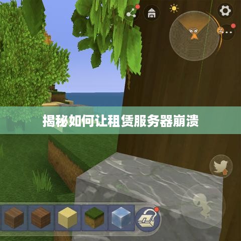 揭秘如何让租赁服务器崩溃
