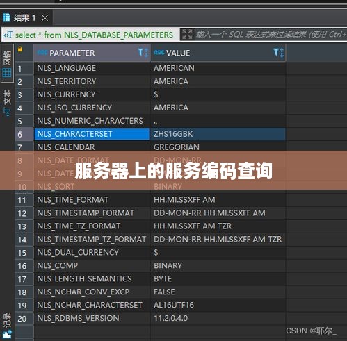服务器上的服务编码查询