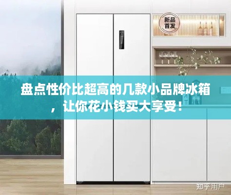盘点性价比超高的几款小品牌冰箱，让你花小钱买大享受！