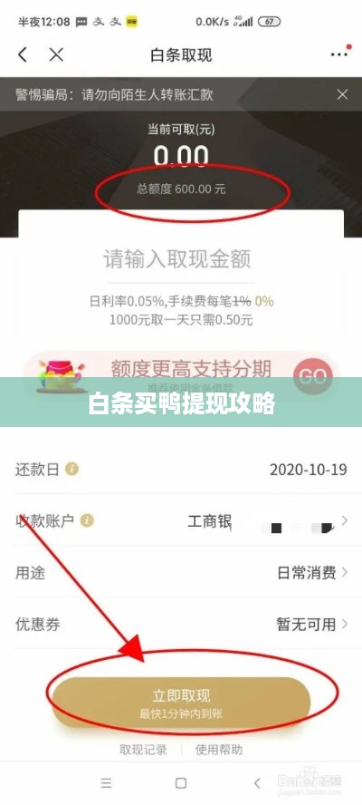 白条买鸭提现攻略