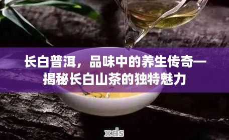 长白普洱，品味中的养生传奇—揭秘长白山茶的独特魅力