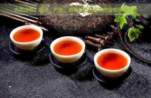 长白普洱，品味中的养生传奇—揭秘长白山茶的独特魅力