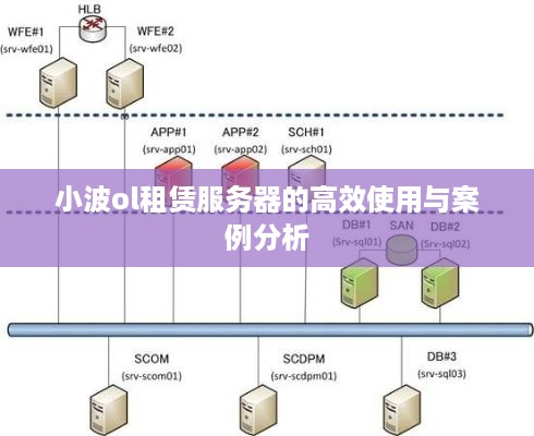 小波ol租赁服务器的高效使用与案例分析