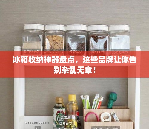 冰箱收纳神器盘点，这些品牌让你告别杂乱无章！