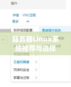 服务器Linux系统推荐与选择
