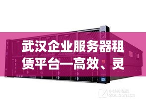 武汉企业服务器租赁平台—高效、灵活的选择，助您业务腾飞