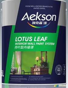 美国十大油漆品牌衣服排行榜，时尚与实用的完美结合