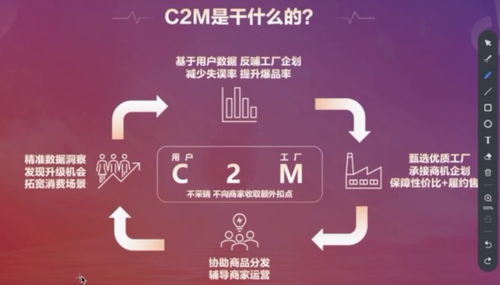 揭秘金东抖音月付套取技巧，一图胜千言，案例详解来助阵！