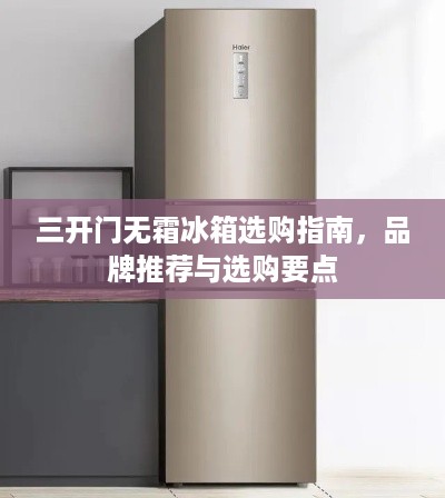三开门无霜冰箱选购指南，品牌推荐与选购要点