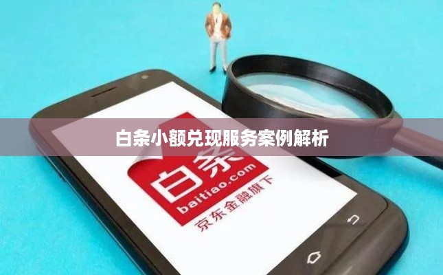 白条小额兑现服务案例解析