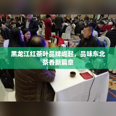 黑龙江红茶叶品牌崛起，品味东北茶香新篇章