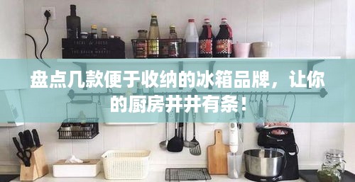 盘点几款便于收纳的冰箱品牌，让你的厨房井井有条！
