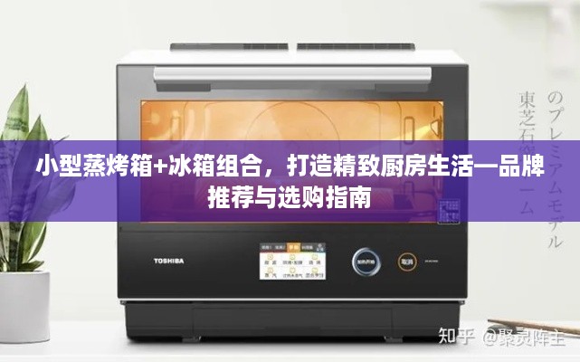 小型蒸烤箱+冰箱组合，打造精致厨房生活—品牌推荐与选购指南