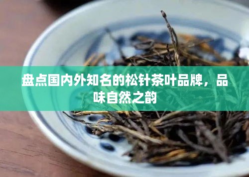 盘点国内外知名的松针茶叶品牌，品味自然之韵