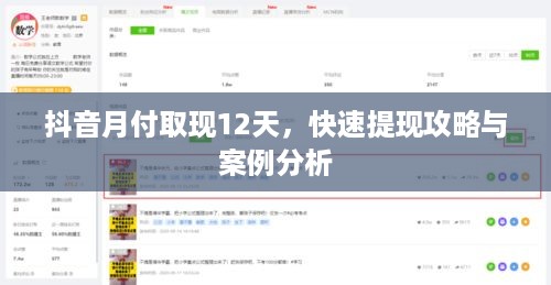 抖音月付取现12天，快速提现攻略与案例分析