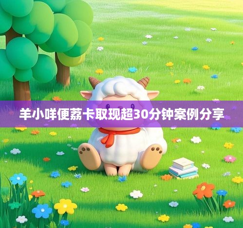 羊小咩便荔卡取现超30分钟案例分享