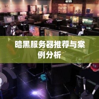 暗黑服务器推荐与案例分析